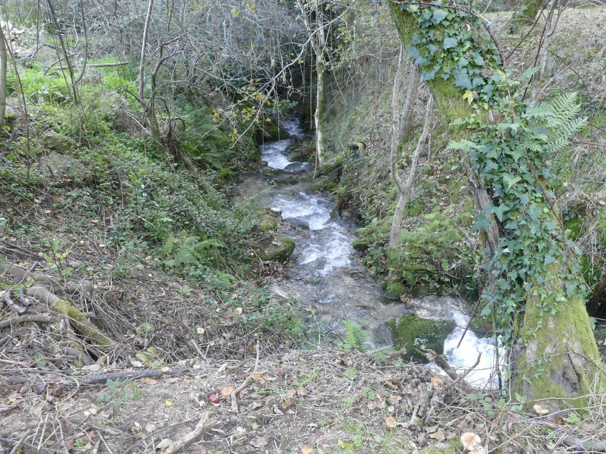 Casita A Estrenar En Finca Con Rio Proxima A Tui, Gondomar Y Portugal. 外观 照片