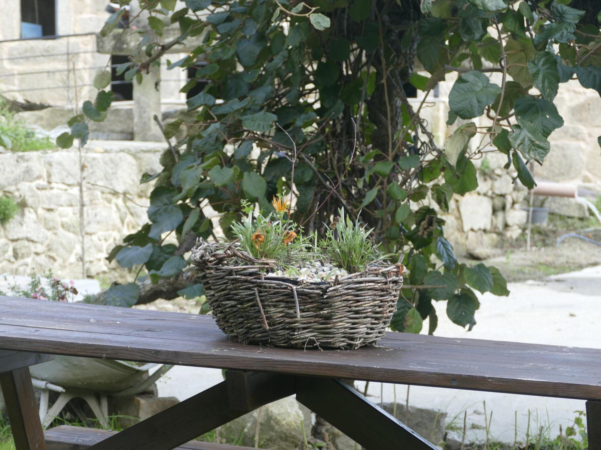 Casita A Estrenar En Finca Con Rio Proxima A Tui, Gondomar Y Portugal. 外观 照片