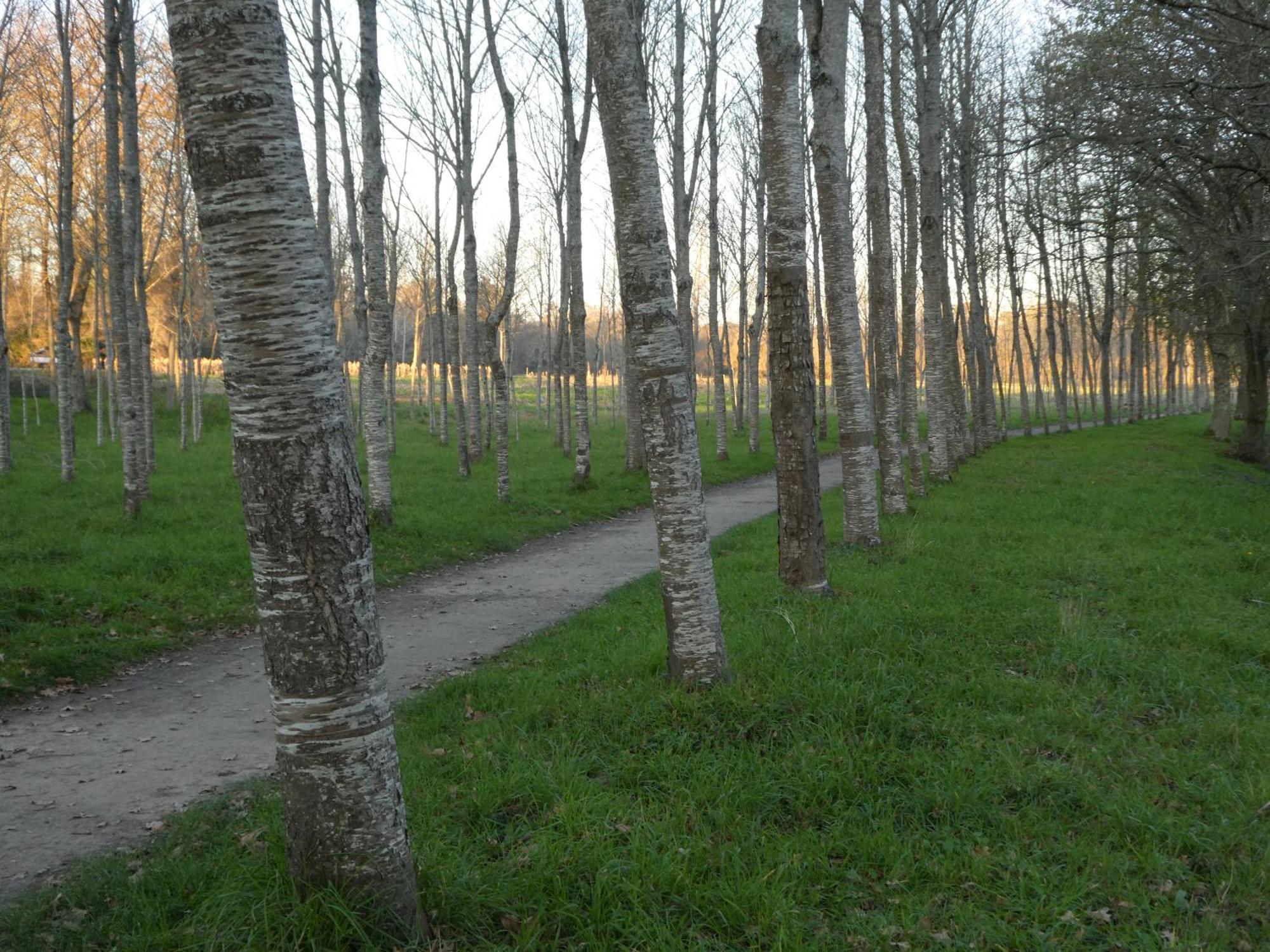 Casita A Estrenar En Finca Con Rio Proxima A Tui, Gondomar Y Portugal. 外观 照片